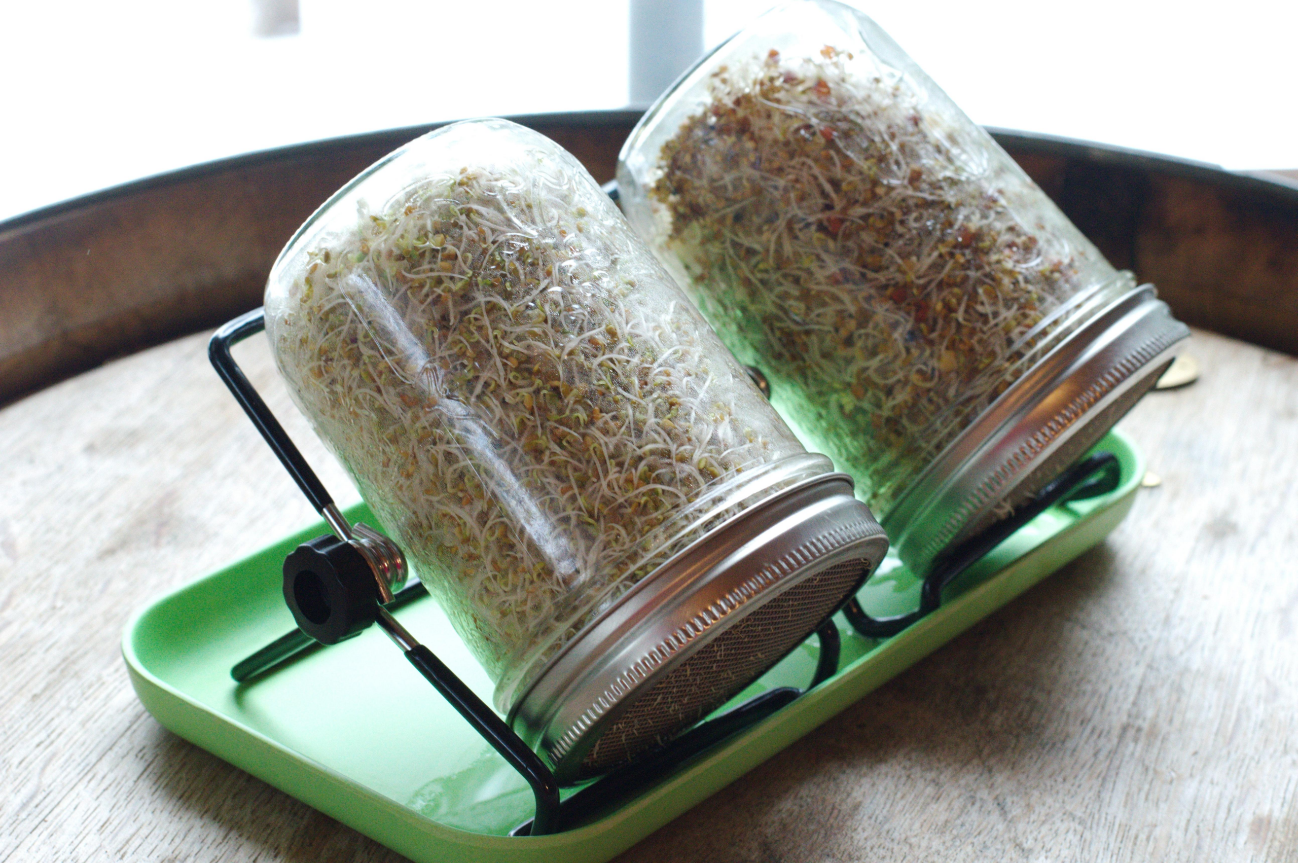 The Four-Cent Superfood Nobody Is Selling You